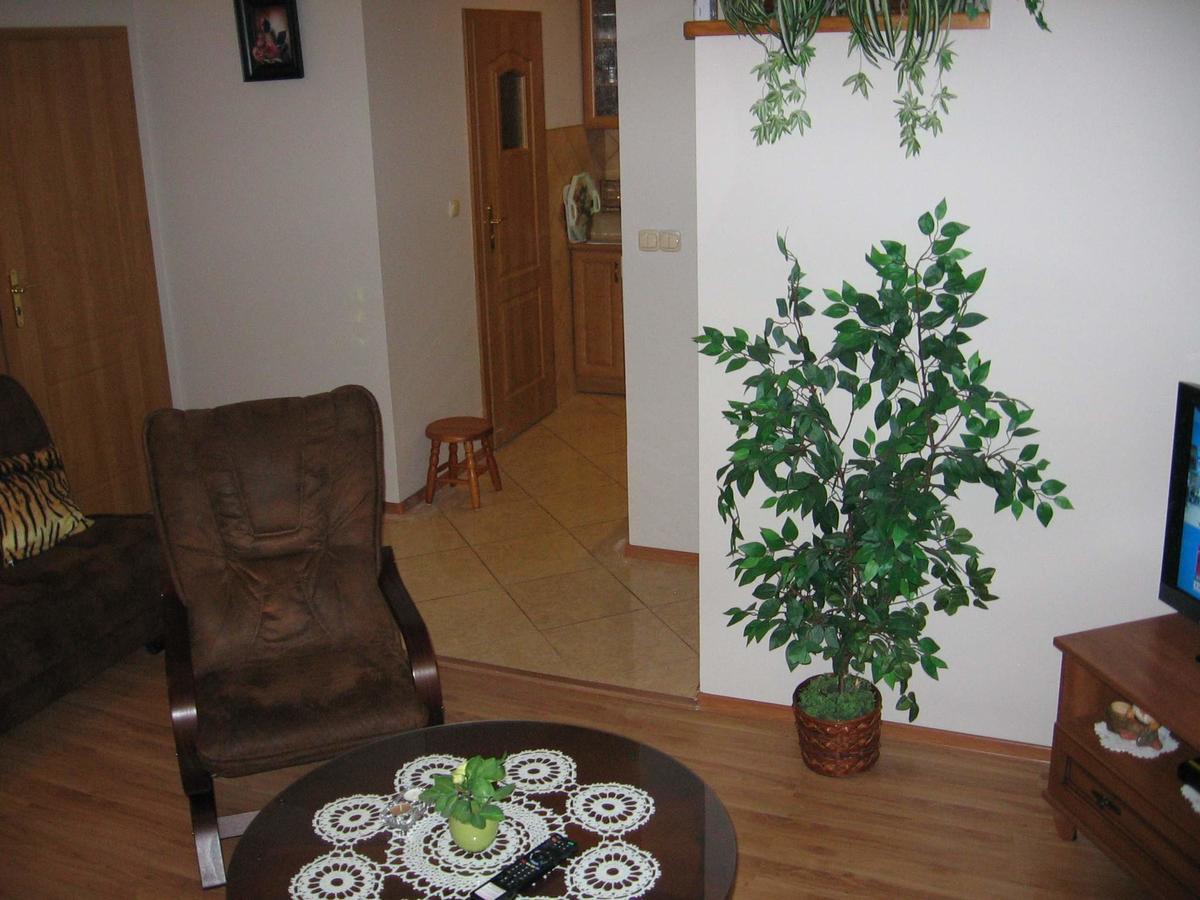 Apartament Zuzia Дзвиржино Екстериор снимка
